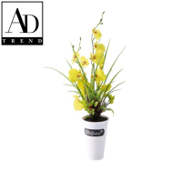 AD TREND - VASO C/ORCHIDEE 13F ASSORTITI 4 COLORI DIAM. 14 x H 37