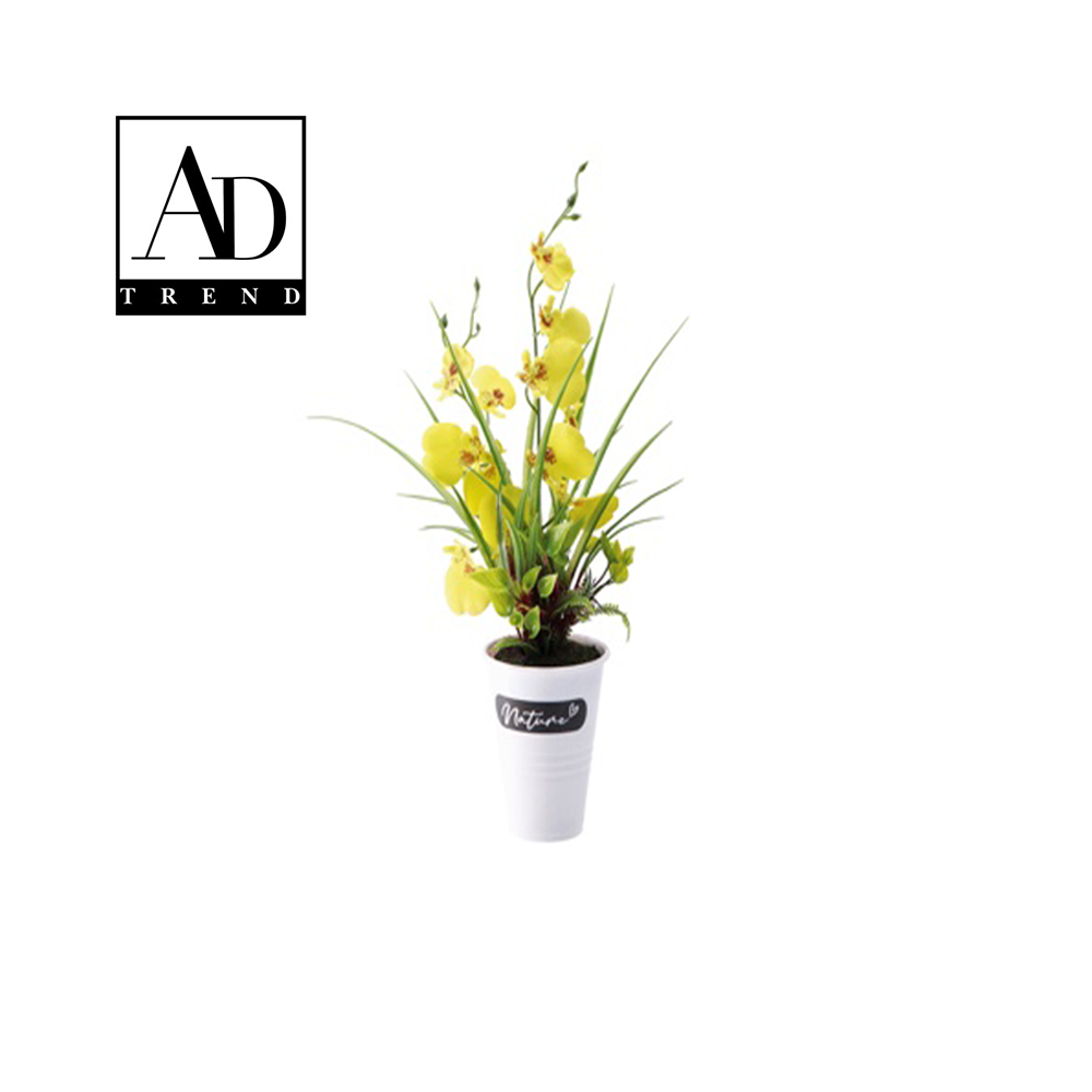 AD TREND - VASO C/ORCHIDEE 13F ASSORTITI 4 COLORI DIAM. 14 x H 37 AD TREND - VASO C/ORCHIDEE 13F ASSORTITI 4 COLORI DIAM. 14 x H 37