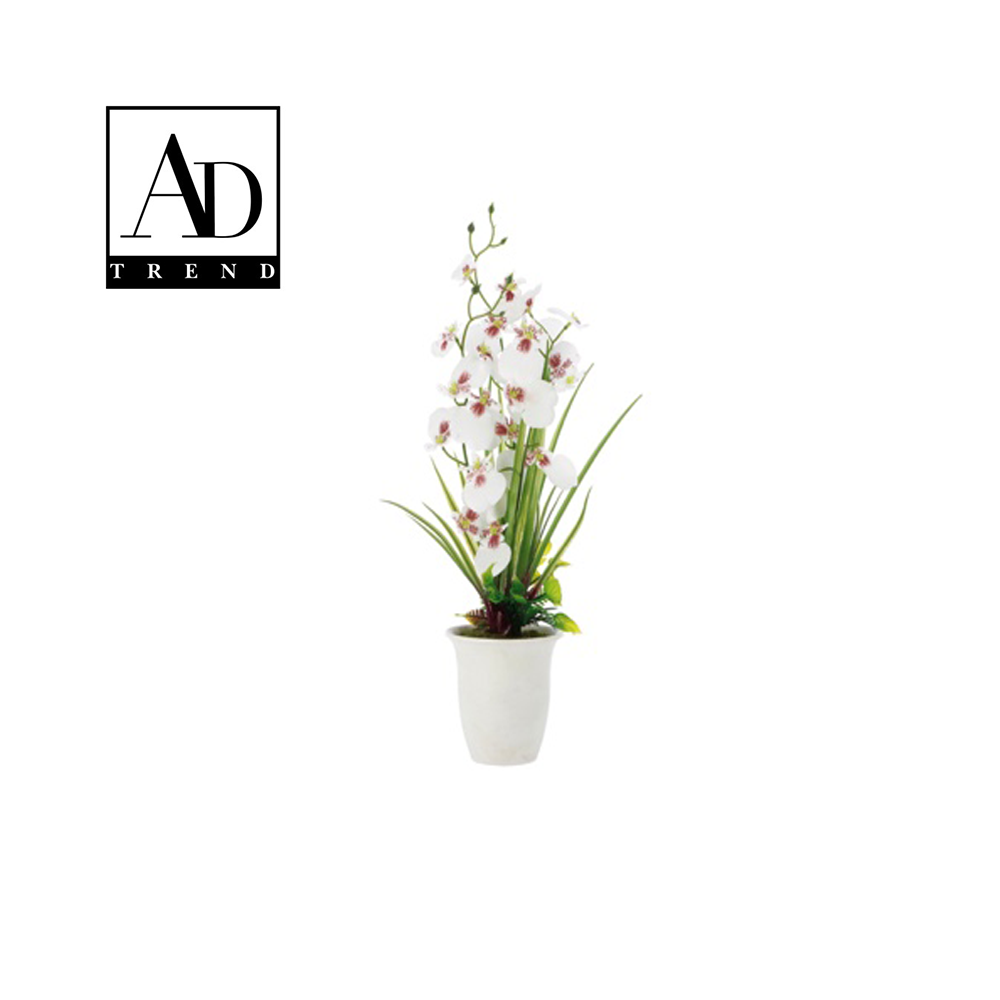 AD TREND - VASO C/ORCHIDEA 23 FIORI ASSORTITO 4 COLORI DIAM. 9x40 AD TREND - VASO C/ORCHIDEA 23 FIORI ASSORTITO 4 COLORI DIAM. 9x40