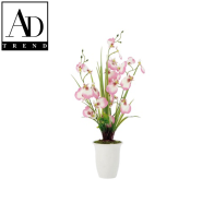 AD TREND - VASO C/ORCHIDEA 23 FIORI ASSORTITO 4 COLORI DIAM. 9x40