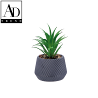 AD TREND - VASO+PIANTA GRASSA  DEC ASSORTITA 2 COLORI DIAM. 10xH17