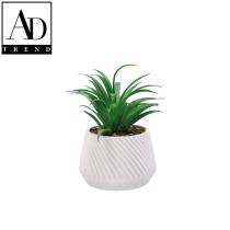 AD TREND - VASO+PIANTA GRASSA  DEC ASSORTITA 2 COLORI DIAM. 10xH17