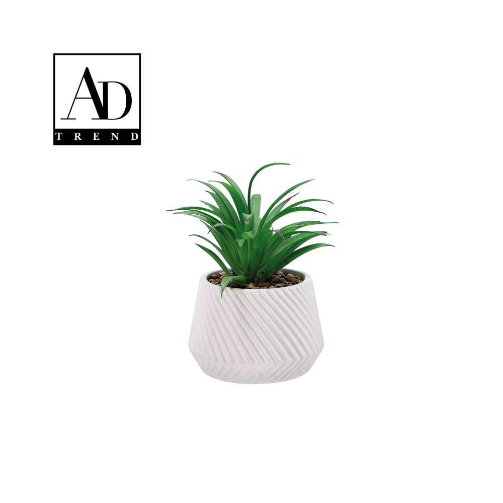 AD TREND - VASO+PIANTA GRASSA DEC ASSORTITA 2 COLORI DIAM. 10xH17 AD TREND - VASO+PIANTA GRASSA DEC ASSORTITA 2 COLORI DIAM. 10xH17