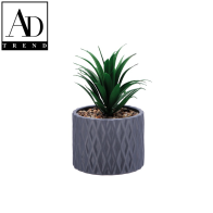 AD TREND - VASO+PIANTA GRASSA  DECORI ASSORTITO 2 COLORI DIAM. 10xH17