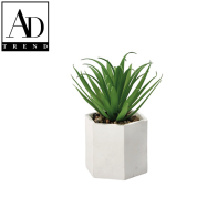 AD TREND - VASO CON PIANTA GRASSA