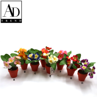 AD TREND - VASO C/PRIMULE ASSORTITO 8 COLORI DIAM. 15 x H 17