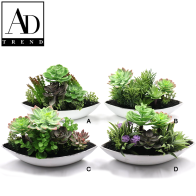 AD TREND - VASO+PIANTINE GRASSE