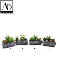 AD TREND - VASO+PIANTE GRASSE ASSORTITO 4 MODELLI CM. 18x7xH14