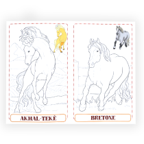 HEDISON EDITRICE - CAVALLI DA COLORARE LIBRO DA COLORARE SERIE NATURA.