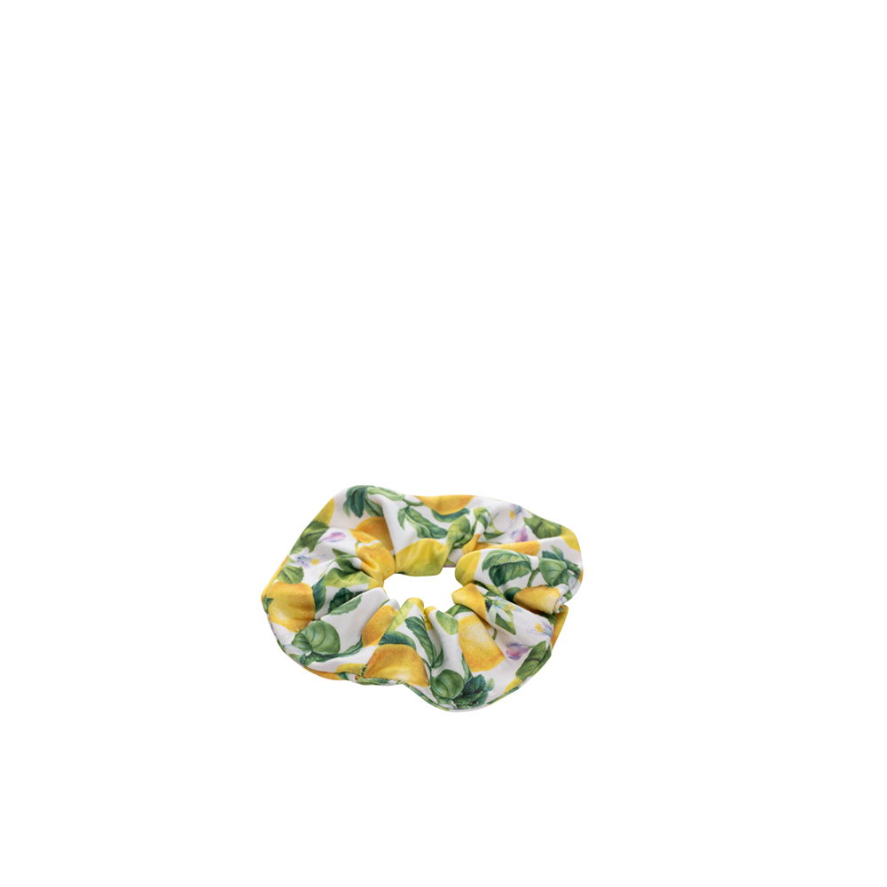 SCRUNCHIES ELASTICO FANTASIE ASSORTITE CONF. DA PZ 12 SCRUNCHIES ELASTICO FANTASIE ASSORTITE CONF. DA PZ 12