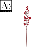 AD TREND - RAMOSCELLO C/BACCHE ROSSE