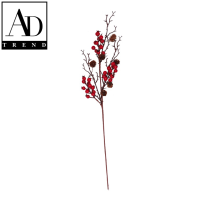 AD TREND - RAMOSCELLO C/BACCHE ROSSE