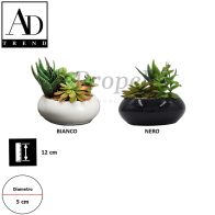 AD TREND - VASO+PIANTA GRASSA ASSORTITO 1 MODELLO 2 COLORI DIAM. CM.12 x H CM.5
